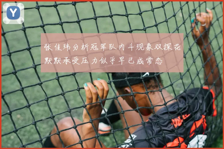 张佳玮分析冠军队内斗现象双探花默默承受压力似乎早已成常态